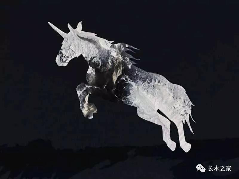 誰是下一家獨(dú)角獸？新材料和新能源汽車成兩大“種子選手”！